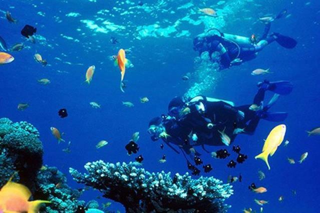 Villa Vinka Kastela Ngoại thất bức ảnh